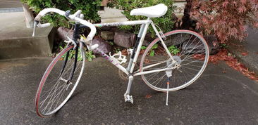 日本盧德摩托車(chē)代購(gòu)與二手市場(chǎng)指南 價(jià)格、渠道與購(gòu)買(mǎi)注意事項(xiàng)